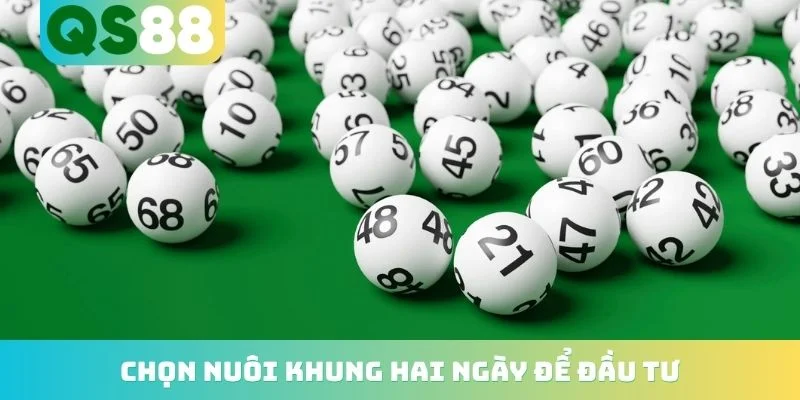 Chọn nuôi khung hai ngày để đầu tư